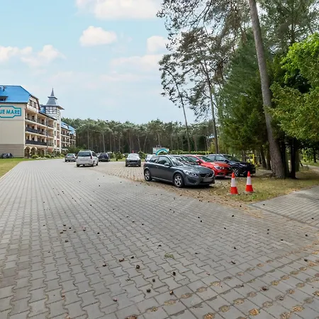 Sosnowy Taras Blue Mare D&d