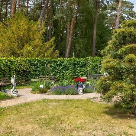 アパート Sosnowy Taras Blue Mare D&d