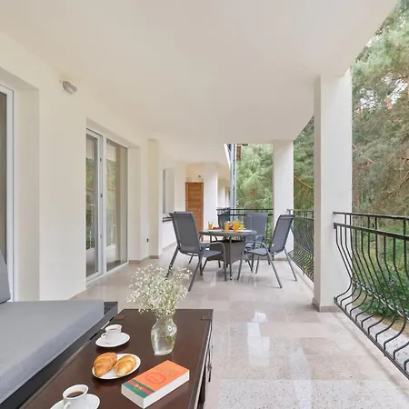 Sosnowy Taras Blue Mare D&d