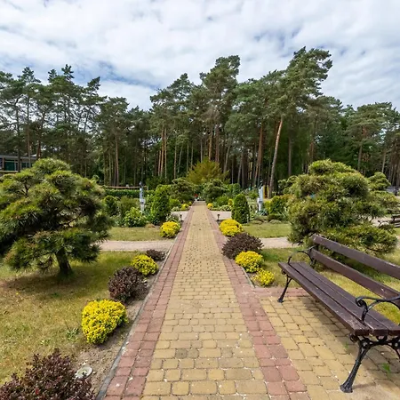 Sosnowy Taras Blue Mare D&d * Łukęcin